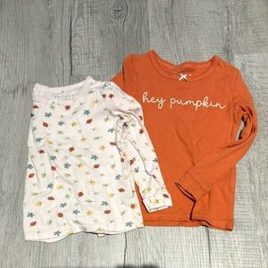 Chickpea Fall themed Pajama Tops Size 3t